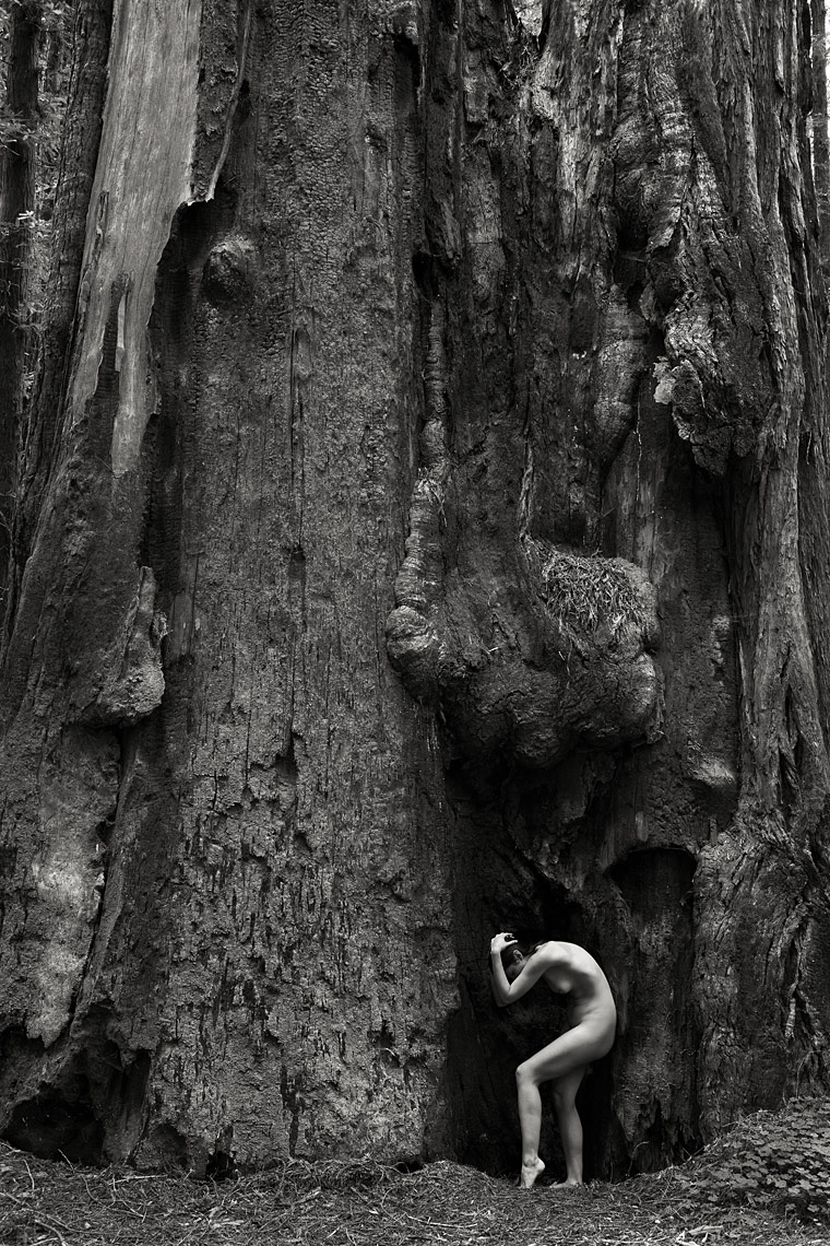 Jason Homa Fine Art Photography, California 4