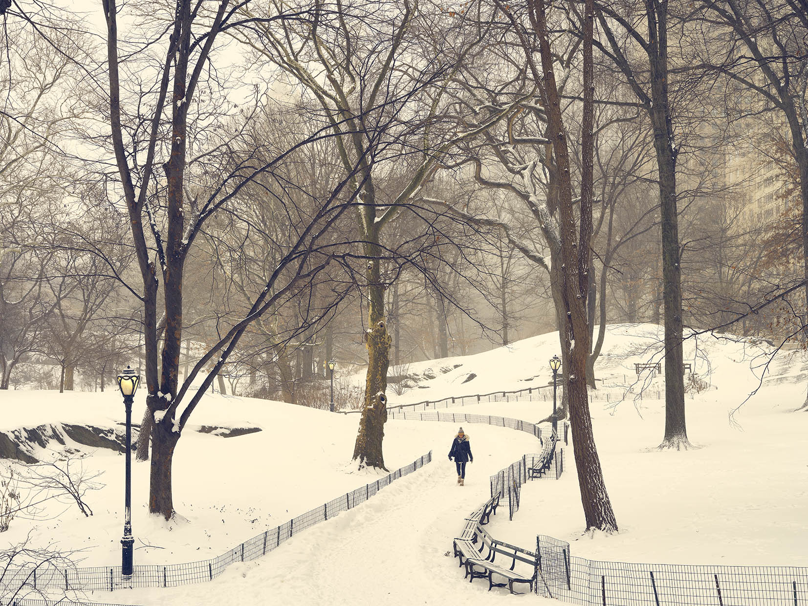 Central Park in the Snow, NYC
